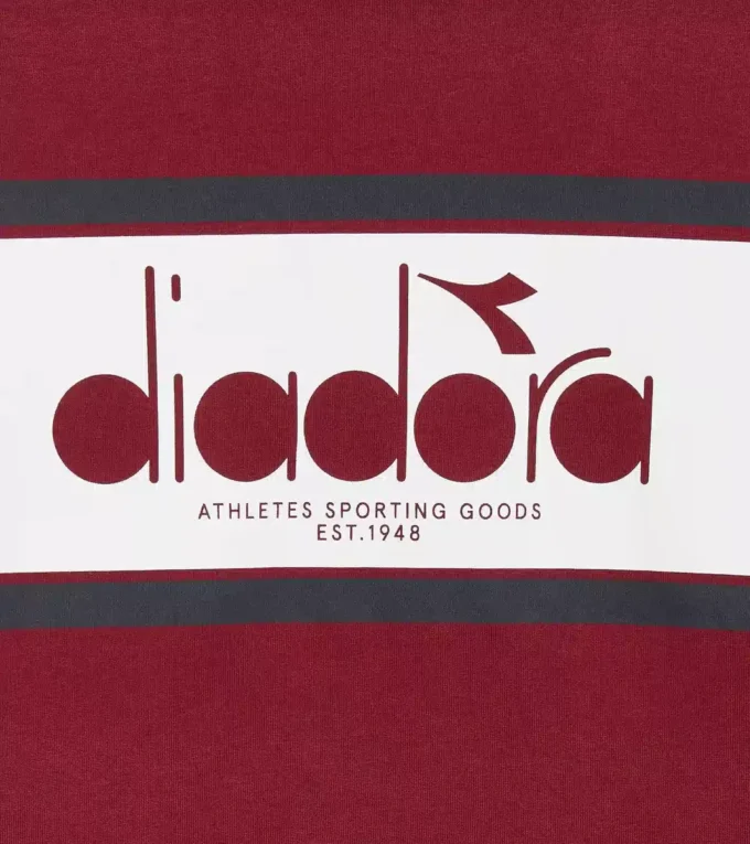 Sweat à capuche Logo Sweat à capuche color block